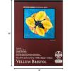 imageBee Paper  14quotx 17quot Vellum Bristol Paper Pad 15 Sheets9inch x 12inch  15 Sheet Tape Bound Pad