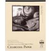 imageBee Paper  11quotx 14quot Charcoal Paper Sketch Pad 25 Sheets11inch x 14inch  25 Sheet Tape Bound Pad