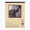 imageBee Paper  11quotx 14quot Charcoal Paper Sketch Pad 25 Sheets14inch x 17inch  25 Sheet Tape Bound Pad