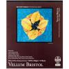 imageBee Paper  14quotx 17quot Vellum Bristol Paper Pad 15 Sheets14inch x 17inch  15 Sheet Tape Bound Pad