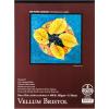 imageBee Paper  14quotx 17quot Vellum Bristol Paper Pad 15 Sheets9inch x 12inch  15 Sheet Tape Bound Pad