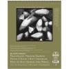 imageBee Paper High Rag Pad 11Inch by 14Inch11inch x 14inch  25 Sheet Wire Bound Pad