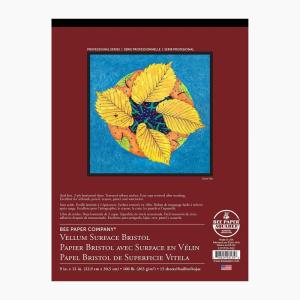 imageBee Paper  14quotx 17quot Vellum Bristol Paper Pad 15 Sheets11inch x 14inch  15 Sheet Tape Bound Pad