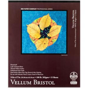 imageBee Paper  14quotx 17quot Vellum Bristol Paper Pad 15 Sheets14inch x 17inch  15 Sheet Tape Bound Pad