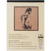 imageBee Paper Bogus Sketch Roll 36Inch by 10Yards9inch x 12inch  50 Sheet Tape Bound Pad