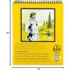 imageBee Paper  8quotx 10quot CoMo Heavyweight Sketch Paper Pad 30 Sheets